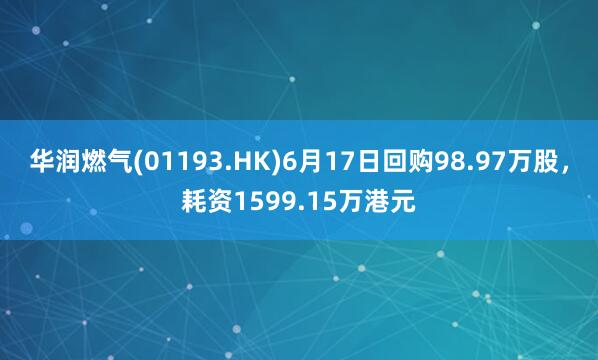华润燃气(01193.HK)6月17日回购98.97万股，耗资1599.15万港元