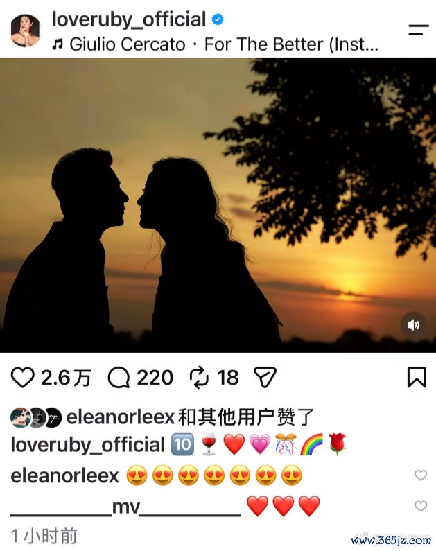 林心如晒照纪念结婚十周年