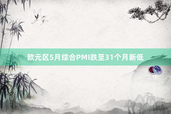 欧元区5月综合PMI跌至31个月新低
