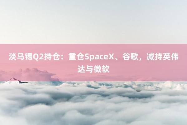 淡马锡Q2持仓：重仓SpaceX、谷歌，减持英伟达与微软