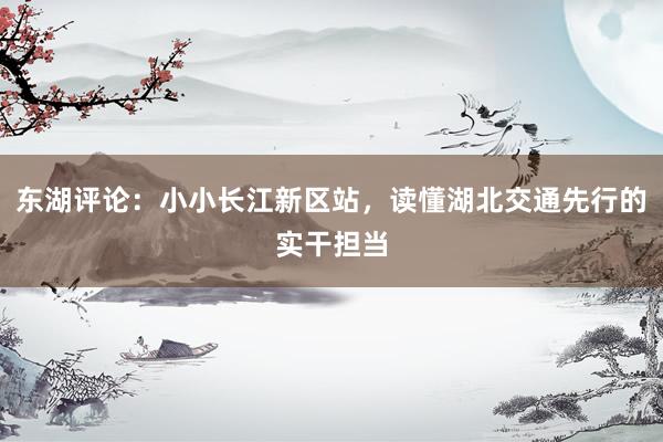 东湖评论：小小长江新区站，读懂湖北交通先行的实干担当