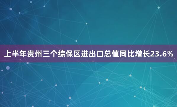 上半年贵州三个综保区进出口总值同比增长23.6%
