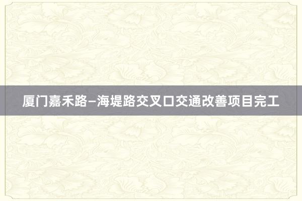 厦门嘉禾路—海堤路交叉口交通改善项目完工