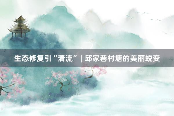 生态修复引“清流” | 邱家巷村塘的美丽蜕变