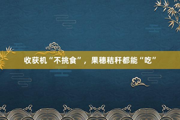 收获机“不挑食”，果穗秸秆都能“吃”