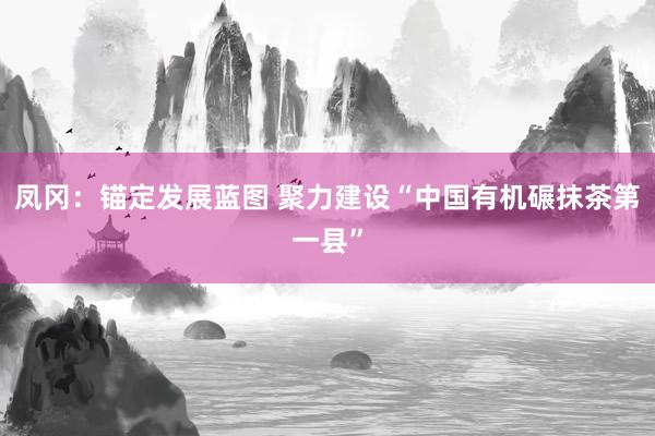 凤冈：锚定发展蓝图 聚力建设“中国有机碾抹茶第一县”