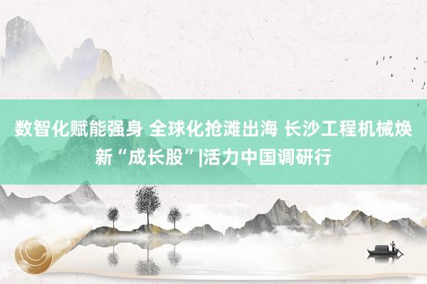 数智化赋能强身 全球化抢滩出海 长沙工程机械焕新“成长股”|活力中国调研行