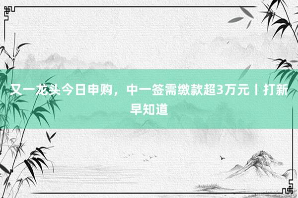 又一龙头今日申购，中一签需缴款超3万元丨打新早知道