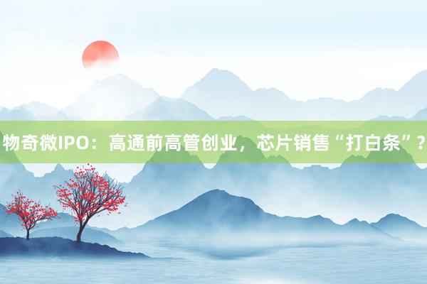 物奇微IPO：高通前高管创业，芯片销售“打白条”？