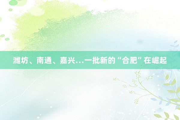 潍坊、南通、嘉兴…一批新的“合肥”在崛起