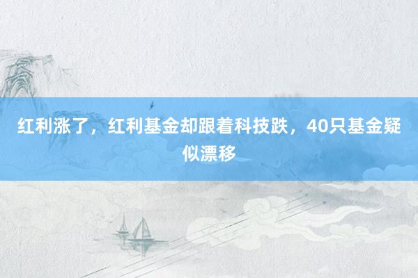 红利涨了,红利基金却跟着科技跌,40只基金疑似漂移