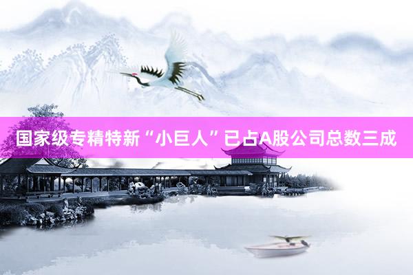 国家级专精特新“小巨人”已占A股公司总数三成
