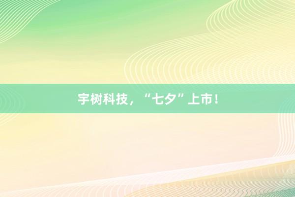 宇树科技，“七夕”上市！