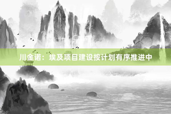 川金诺：埃及项目建设按计划有序推进中
