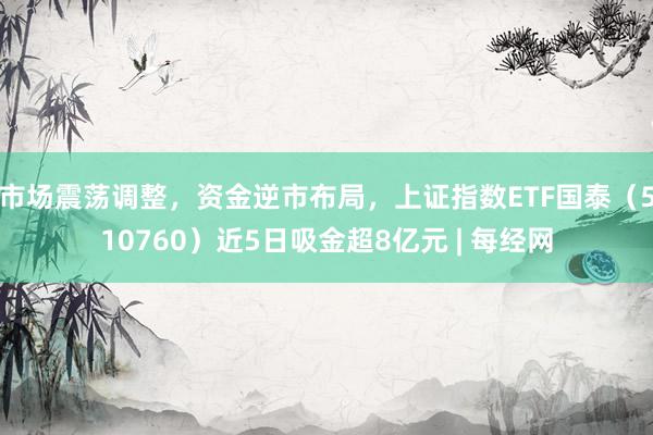 市场震荡调整,资金逆市布局,上证指数ETF国泰(510760)近5日吸金超8亿元 | 每经网