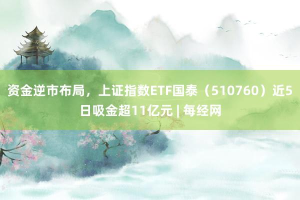 资金逆市布局，上证指数ETF国泰（510760）近5日吸金超11亿元 | 每经网