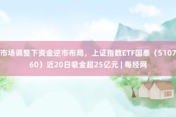 市场调整下资金逆市布局，上证指数ETF国泰（510760）近20日吸金超25亿元 | 每经网