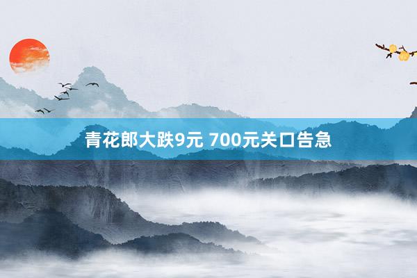 青花郎大跌9元 700元关口告急