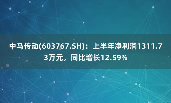 中马传动(603767.SH)：上半年净利润1311.73万元，同比增长12.59%