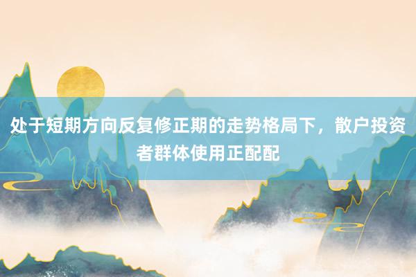 处于短期方向反复修正期的走势格局下，散户投资者群体使用正配配