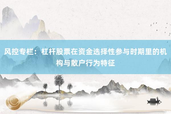 风控专栏：杠杆股票在资金选择性参与时期里的机构与散户行为特征
