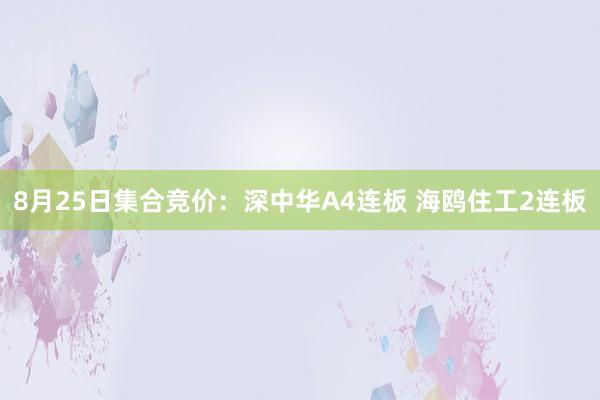8月25日集合竞价:深中华A4连板 海鸥住工2连板