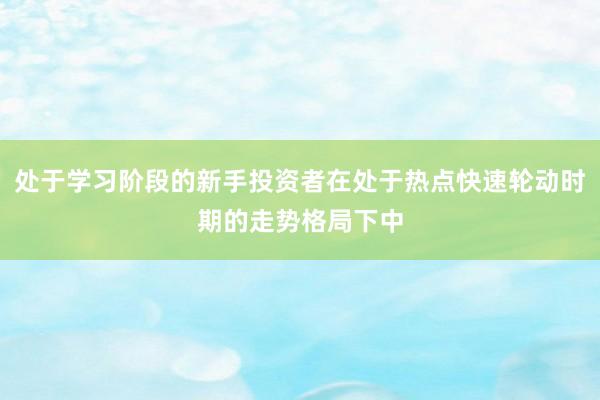 处于学习阶段的新手投资者在处于热点快速轮动时期的走势格局下中