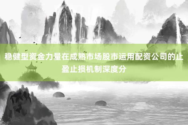 稳健型资金力量在成熟市场股市运用配资公司的止盈止损机制深度分