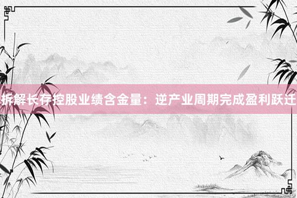 拆解长存控股业绩含金量：逆产业周期完成盈利跃迁