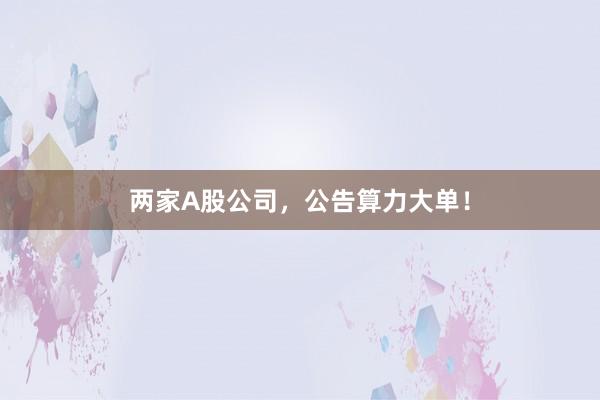 两家A股公司，公告算力大单！
