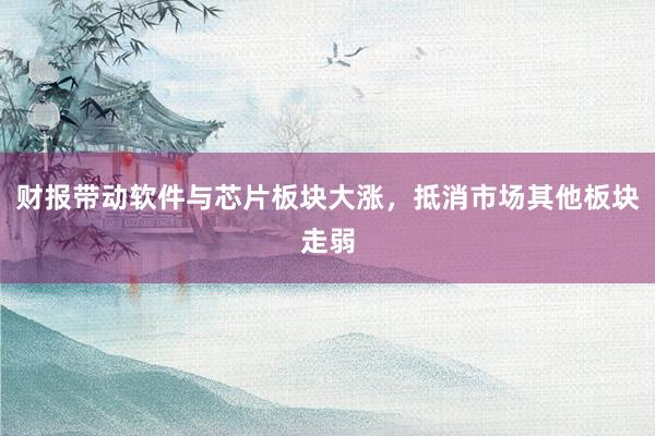 财报带动软件与芯片板块大涨，抵消市场其他板块走弱