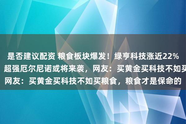 是否建议配资 粮食板块爆发！绿亨科技涨近22%，神农种业20CM涨停，超强厄尔尼诺或将来袭，网友：买黄金买科技不如买粮食，粮食才是保命的