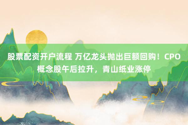 股票配资开户流程 万亿龙头抛出巨额回购！CPO概念股午后拉升，青山纸业涨停