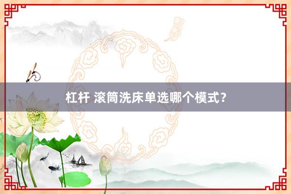 杠杆 滚筒洗床单选哪个模式？