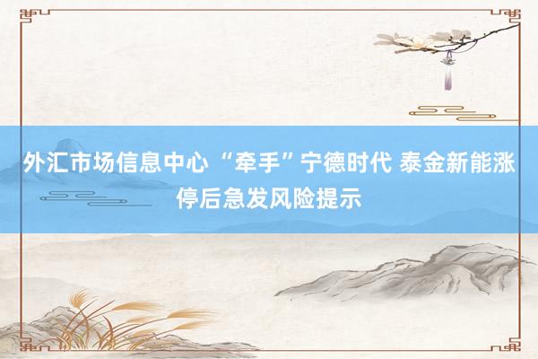 外汇市场信息中心 “牵手”宁德时代 泰金新能涨停后急发风险提示