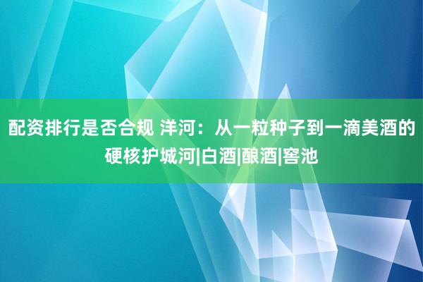 配资排行是否合规 洋河：从一粒种子到一滴美酒的硬核护城河|白酒|酿酒|窖池