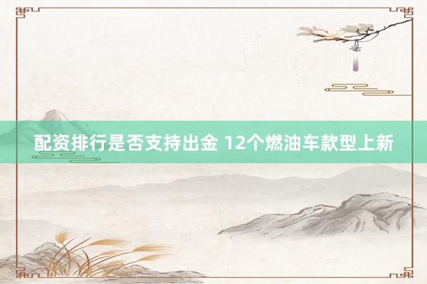 配资排行是否支持出金 12个燃油车款型上新