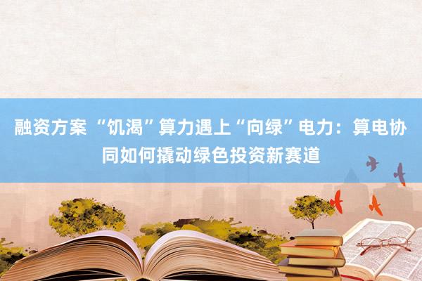 融资方案 “饥渴”算力遇上“向绿”电力：算电协同如何撬动绿色投资新赛道