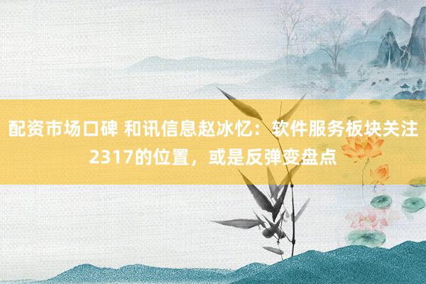 配资市场口碑 和讯信息赵冰忆：软件服务板块关注2317的位置，或是反弹变盘点