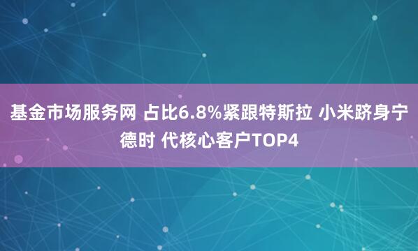 基金市场服务网 占比6.8%紧跟特斯拉 小米跻身宁德时 代核心客户TOP4
