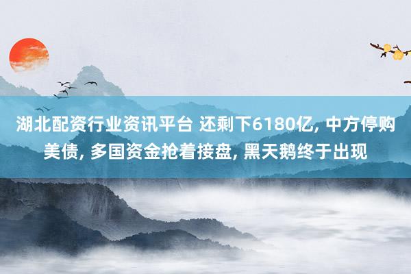 湖北配资行业资讯平台 还剩下6180亿, 中方停购美债, 多国资金抢着接盘, 黑天鹅终于出现