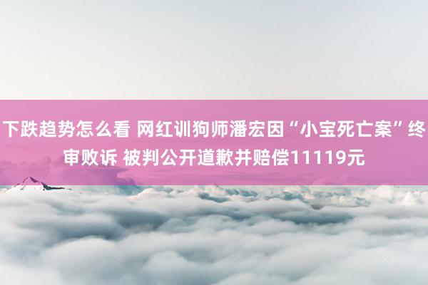 下跌趋势怎么看 网红训狗师潘宏因“小宝死亡案”终审败诉 被判公开道歉并赔偿11119元