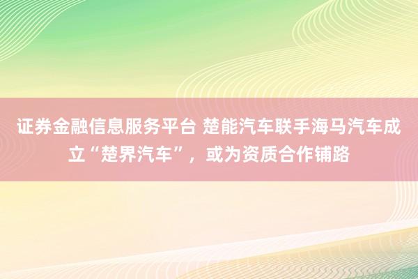 证券金融信息服务平台 楚能汽车联手海马汽车成立“楚界汽车”，或为资质合作铺路
